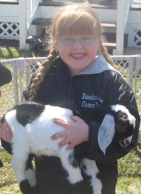 Pony Rentals Pony Parties Children S Parties Nj Kids Parties Petting Zoo Ponies For Hire